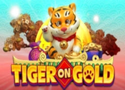 Tiger On Gold