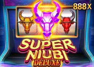 Superniubideluxe