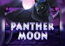 PantherMoon