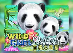 WildGiantPanda