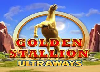 Golden Stallion 