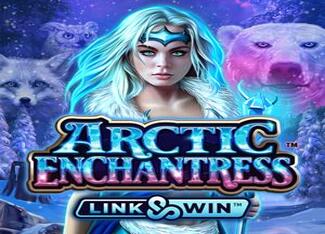 Arctic Enchantress