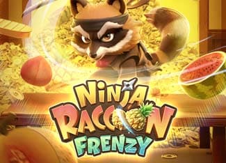 NinjaRacoonFrenzy