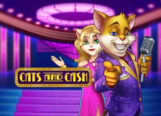 Cats &amp; Cash 