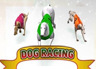 Dog Racing