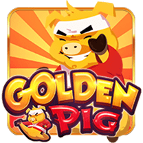 Golden Pig 