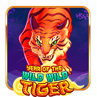 Year Of The Wild Wild Tiger