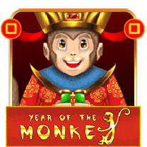 Year Of The Monkey 